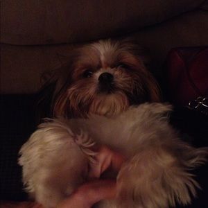 Meet your Posher, Michaela